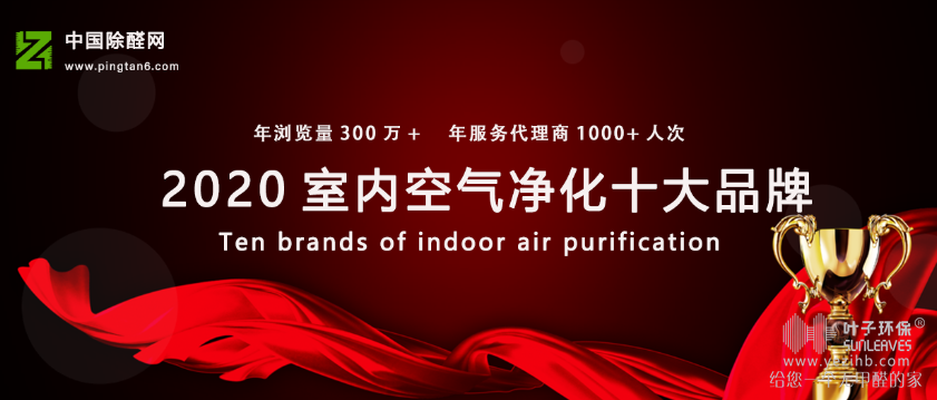 热烈庆祝叶子环保连续四年蝉联中国除醛网十大品牌第一！